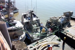 boatsatdock